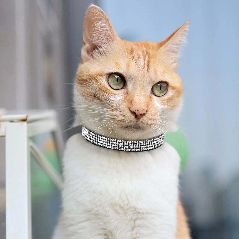Bling Suede Cat Collar – Rhinestone Bell, Soft & Safe