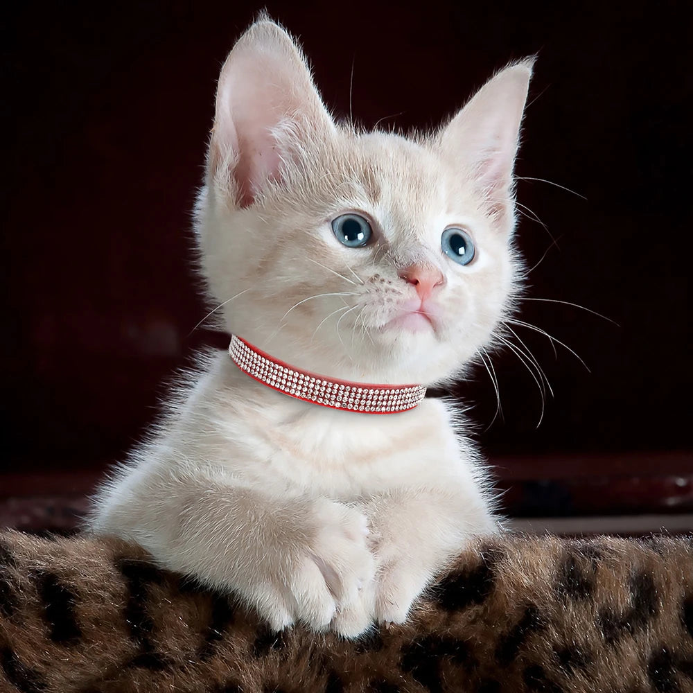 Bling Suede Cat Collar – Rhinestone Bell, Soft & Safe