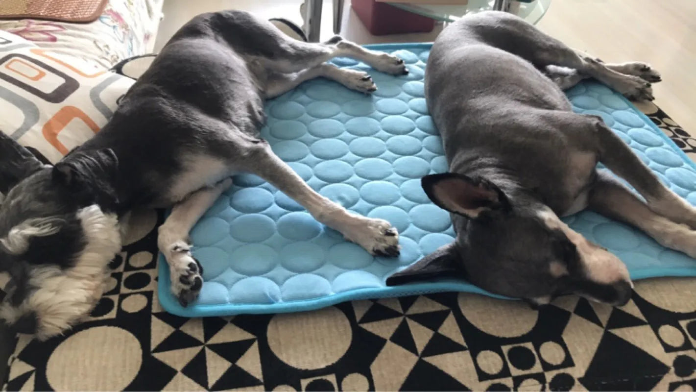 Dog Cooling Mat Summer Pad for Dogs Cat Blanket Breathable dog Bed Kennel Puppy Sleeping Sofa Cushion Dog Accessories