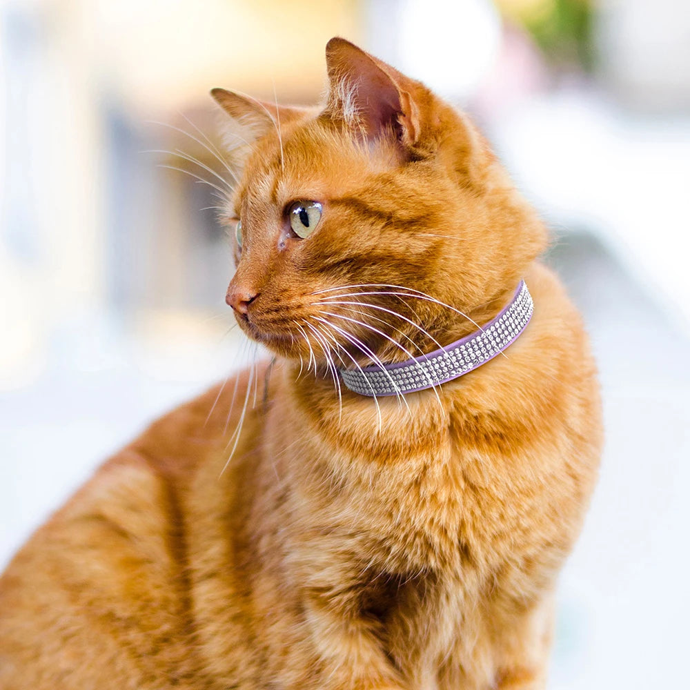 Bling Suede Cat Collar – Rhinestone Bell, Soft & Safe