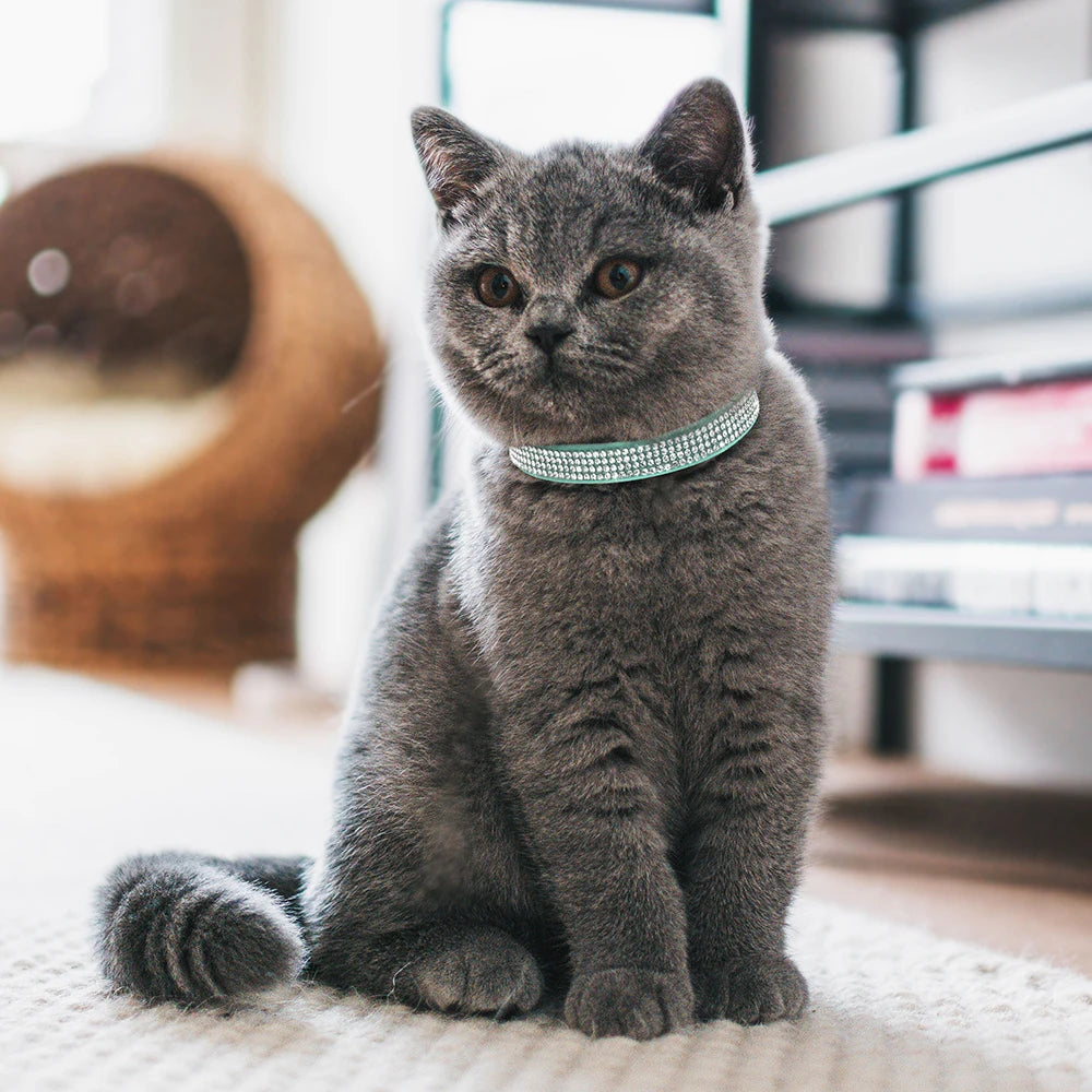 Bling Suede Cat Collar – Rhinestone Bell, Soft & Safe