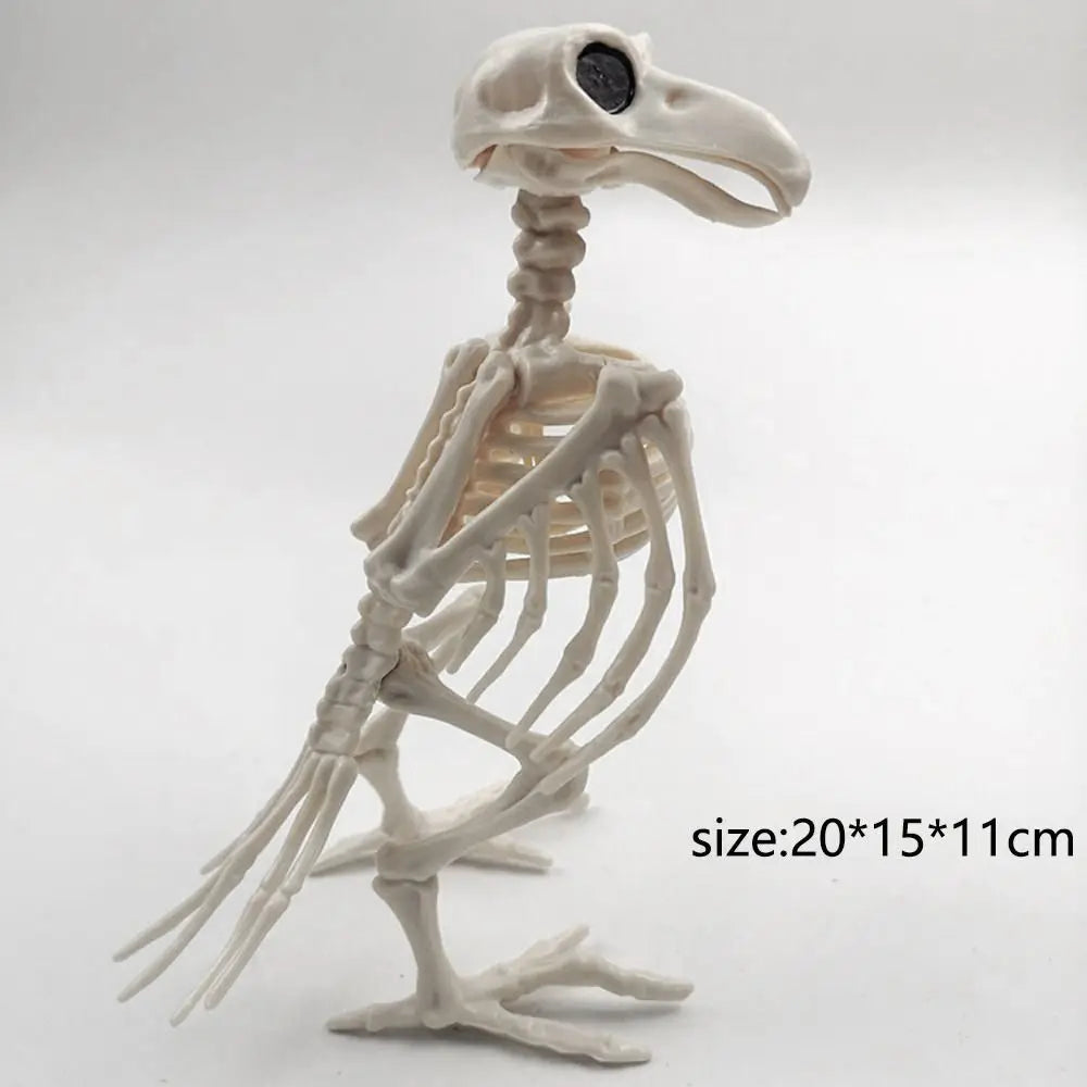 Decoration Halloween Prop Horror Halloween Decoration Crow Skeleton Animal Skeleton Bones Skeleton Raven Halloween Supplies