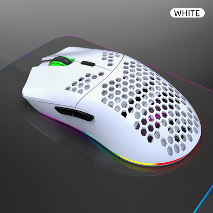 HXSJ T66 RGB 2.4G Wireless Gaming Mouse RGB Lighting Charging Mouse with Adjustable DPI Ergonomic Design for Desktop Laptop