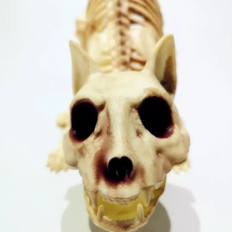 Creative Halloween Scary Skeleton Decoration Crouching Cat Skeleton Cat Skull Model Creepy Animal Bones for VAMPIRE Party Trick