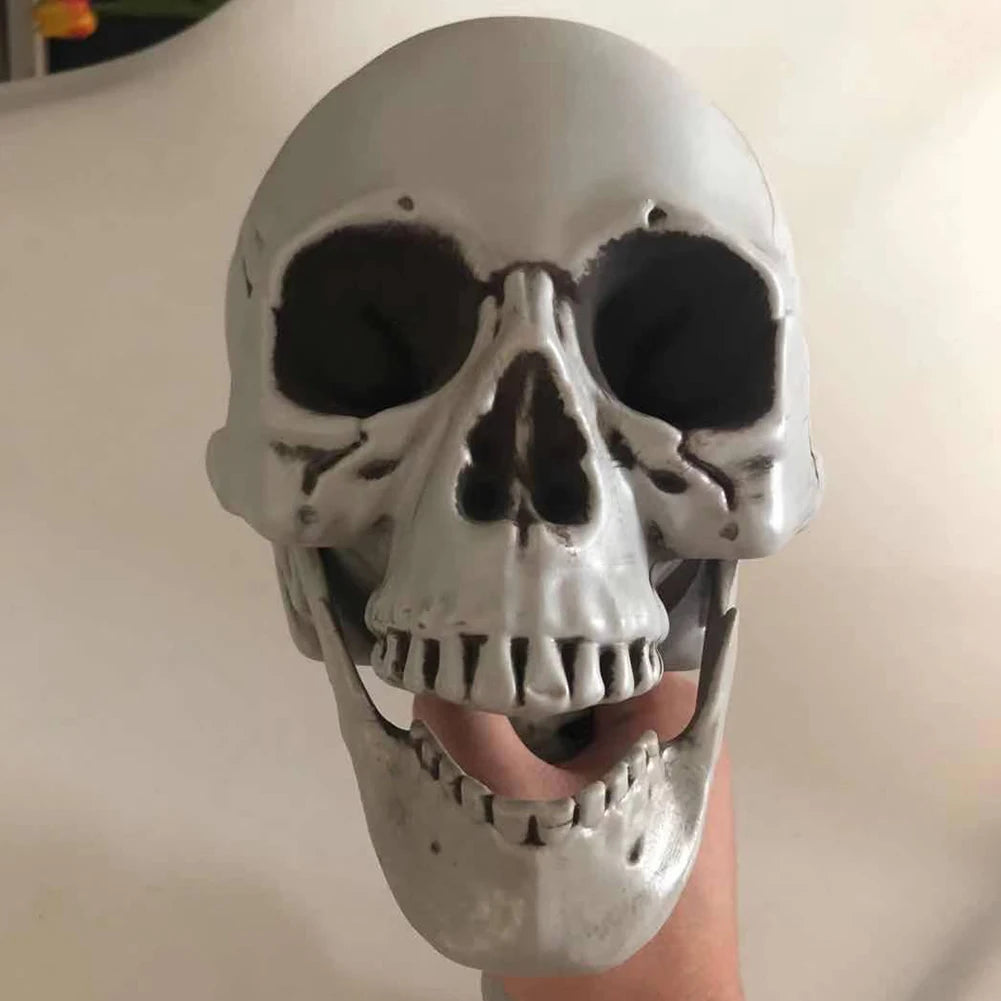 Halloween Realistic Body Bones Movable/Posable Joints Simulation Skull Ornament Festival Theme Full Size Home Party Decorations