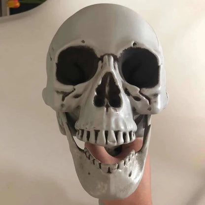 Halloween Realistic Body Bones Movable/Posable Joints Simulation Skull Ornament Festival Theme Full Size Home Party Decorations