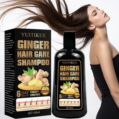 100ml Natural Ginger Shampoo Reduce Hair Loss, Clean Dandruff, Nourish & Moisturize Scalp, Improve Hair Quality Care Product