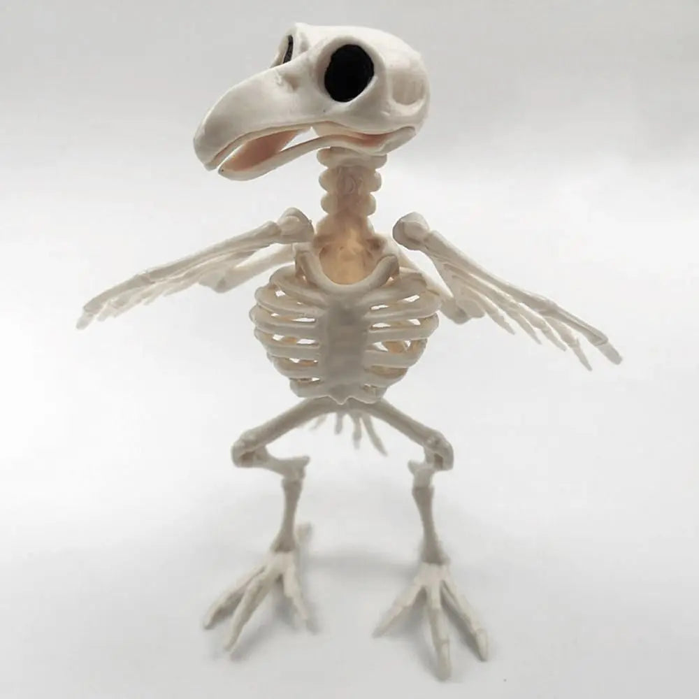 Decoration Halloween Prop Horror Halloween Decoration Crow Skeleton Animal Skeleton Bones Skeleton Raven Halloween Supplies