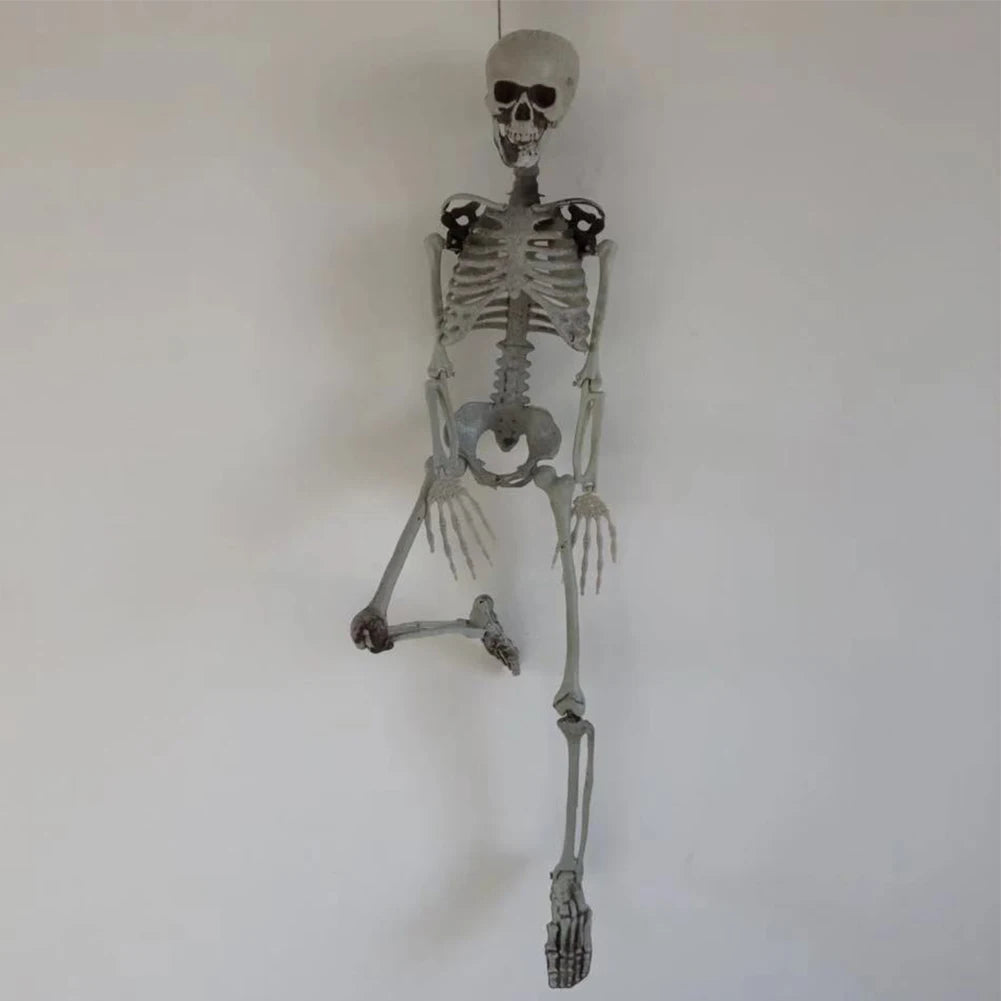 Halloween Realistic Body Bones Movable/Posable Joints Simulation Skull Ornament Festival Theme Full Size Home Party Decorations