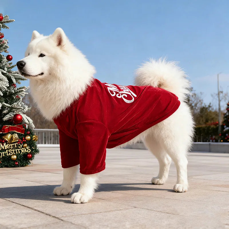 Christmas Velvet Dog Sweatshirt, “Merry Christmas” Print, Warm Soft Pullover, Red/Green, Sizes S–6XL for Small to Large Dogs