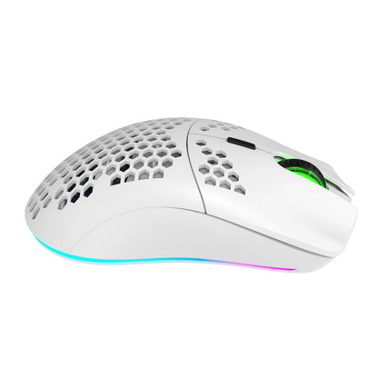 HXSJ T66 RGB 2.4G Wireless Gaming Mouse RGB Lighting Charging Mouse with Adjustable DPI Ergonomic Design for Desktop Laptop