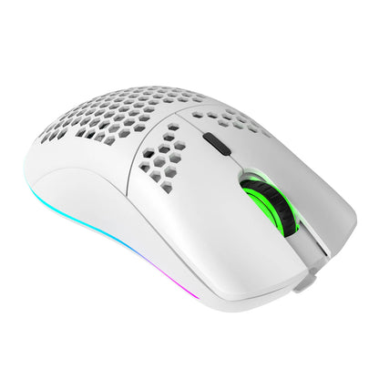 HXSJ T66 RGB 2.4G Wireless Gaming Mouse RGB Lighting Charging Mouse with Adjustable DPI Ergonomic Design for Desktop Laptop