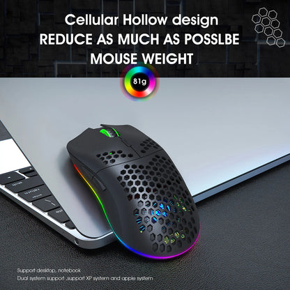 HXSJ T66 RGB 2.4G Wireless Gaming Mouse RGB Lighting Charging Mouse with Adjustable DPI Ergonomic Design for Desktop Laptop