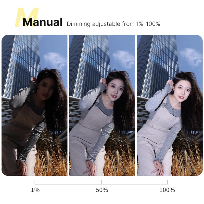 Ulanzi F12 Mini Camera Flash Speedlite GN12 6500K Standard Hot Shoe Mount for Sony Canon Nikon Panasonic Olympus DSLR Camera