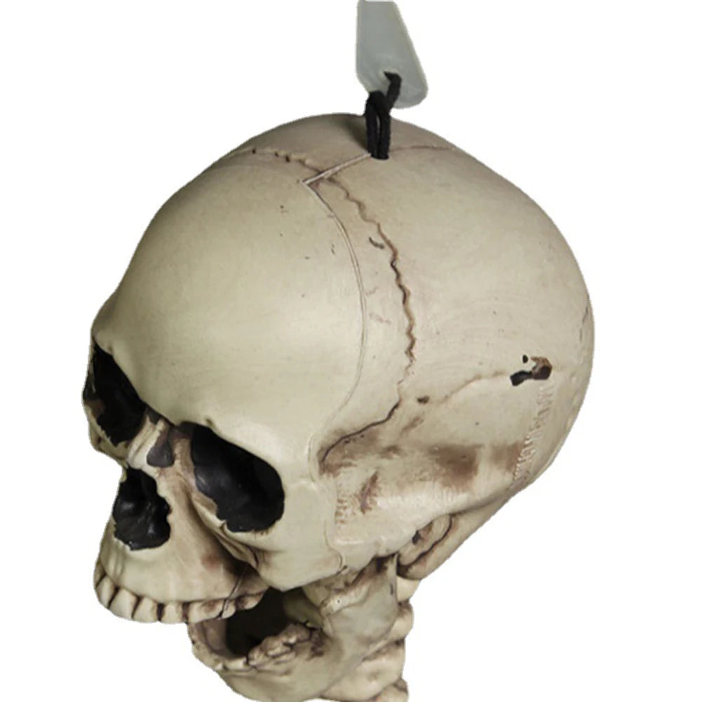 Halloween Realistic Body Bones Movable/Posable Joints Simulation Skull Ornament Festival Theme Full Size Home Party Decorations