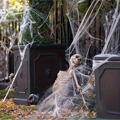 Stretchable Spider Webs with 2 Spiders Each,Party Supplies Halloween Cobweb Decorations for Haunted Houses, Room and Home Decor