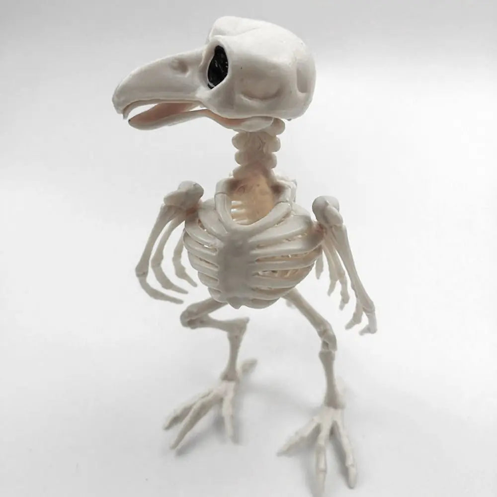 Decoration Halloween Prop Horror Halloween Decoration Crow Skeleton Animal Skeleton Bones Skeleton Raven Halloween Supplies