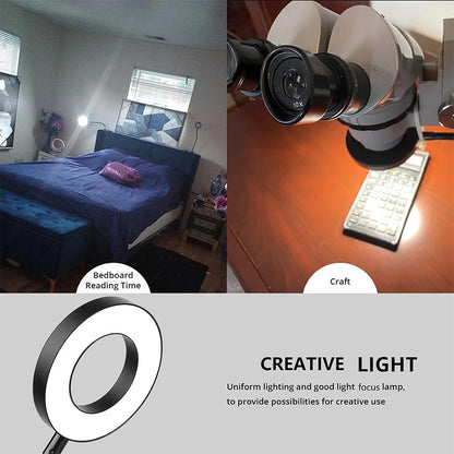 Reading Desk Lamp Bed Dimmable, 3 Modes & 10 Dimming Levels USB Clamp Lamps 360° Flexible Book Clip