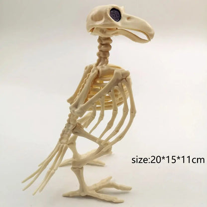 Decoration Halloween Prop Horror Halloween Decoration Crow Skeleton Animal Skeleton Bones Skeleton Raven Halloween Supplies
