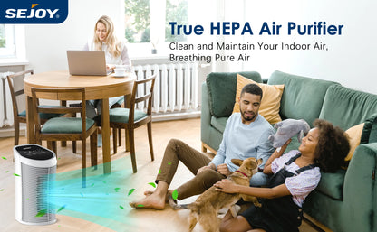 Sejoy HEPA Air Purifier – 3-Stage Filtration with Ionizer, Quiet Portable Cleaner for Bedrooms & Pets