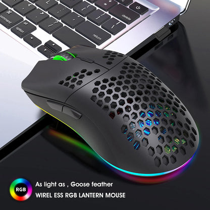 HXSJ T66 RGB 2.4G Wireless Gaming Mouse RGB Lighting Charging Mouse with Adjustable DPI Ergonomic Design for Desktop Laptop