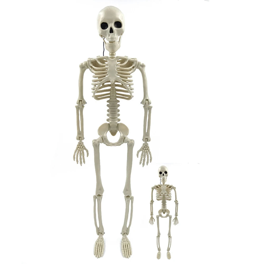 Halloween Realistic Body Bones Movable/Posable Joints Simulation Skull Ornament Festival Theme Full Size Home Party Decorations