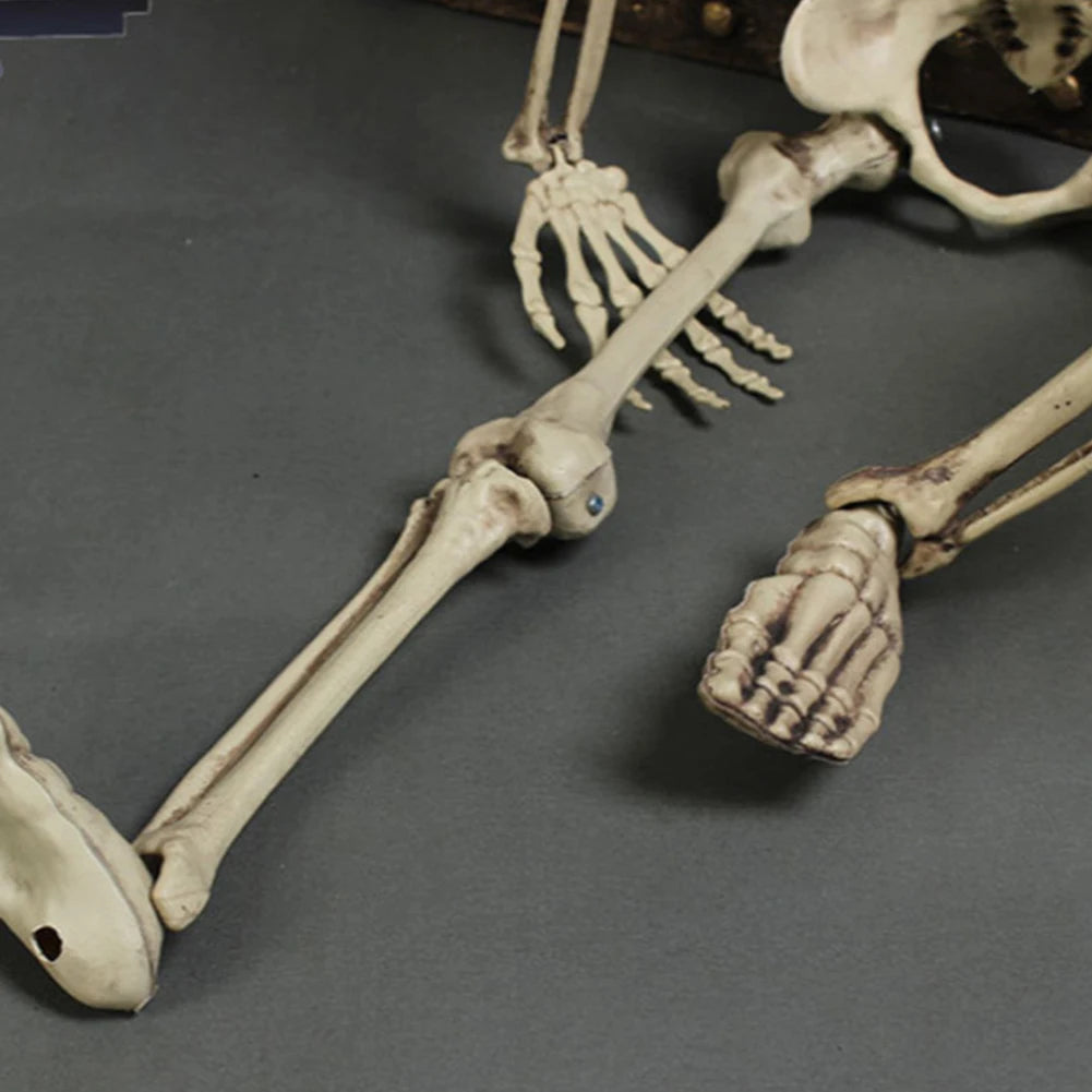 Halloween Realistic Body Bones Movable/Posable Joints Simulation Skull Ornament Festival Theme Full Size Home Party Decorations