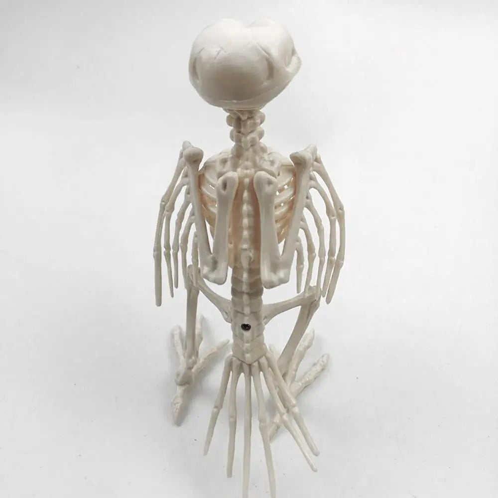 Decoration Halloween Prop Horror Halloween Decoration Crow Skeleton Animal Skeleton Bones Skeleton Raven Halloween Supplies