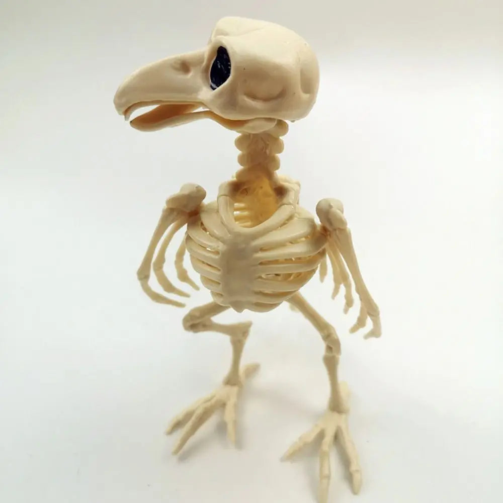 Decoration Halloween Prop Horror Halloween Decoration Crow Skeleton Animal Skeleton Bones Skeleton Raven Halloween Supplies