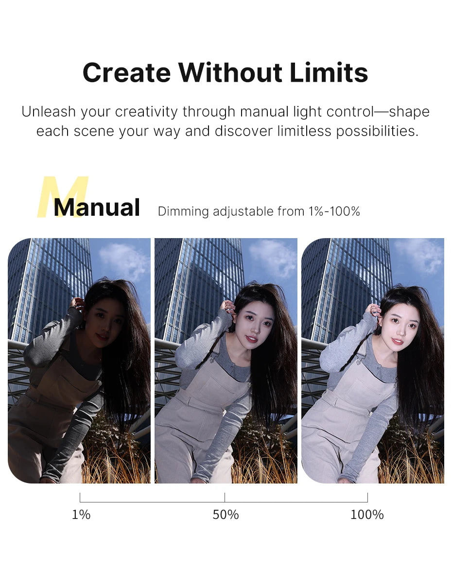 Ulanzi F12 Mini Camera Flash Speedlite GN12 6500K Standard Hot Shoe Mount for Sony Canon Nikon Panasonic Olympus DSLR Camera