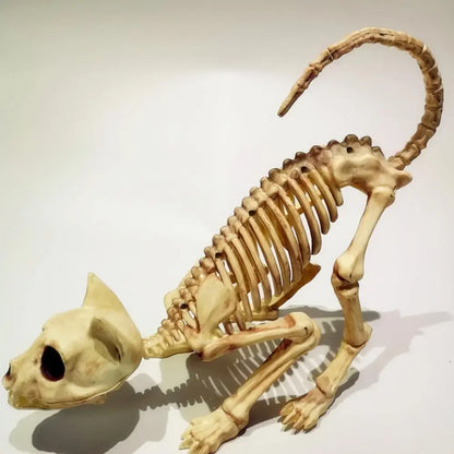 Creative Halloween Scary Skeleton Decoration Crouching Cat Skeleton Cat Skull Model Creepy Animal Bones for VAMPIRE Party Trick