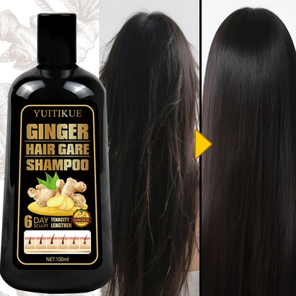100ml Natural Ginger Shampoo Reduce Hair Loss, Clean Dandruff, Nourish & Moisturize Scalp, Improve Hair Quality Care Product