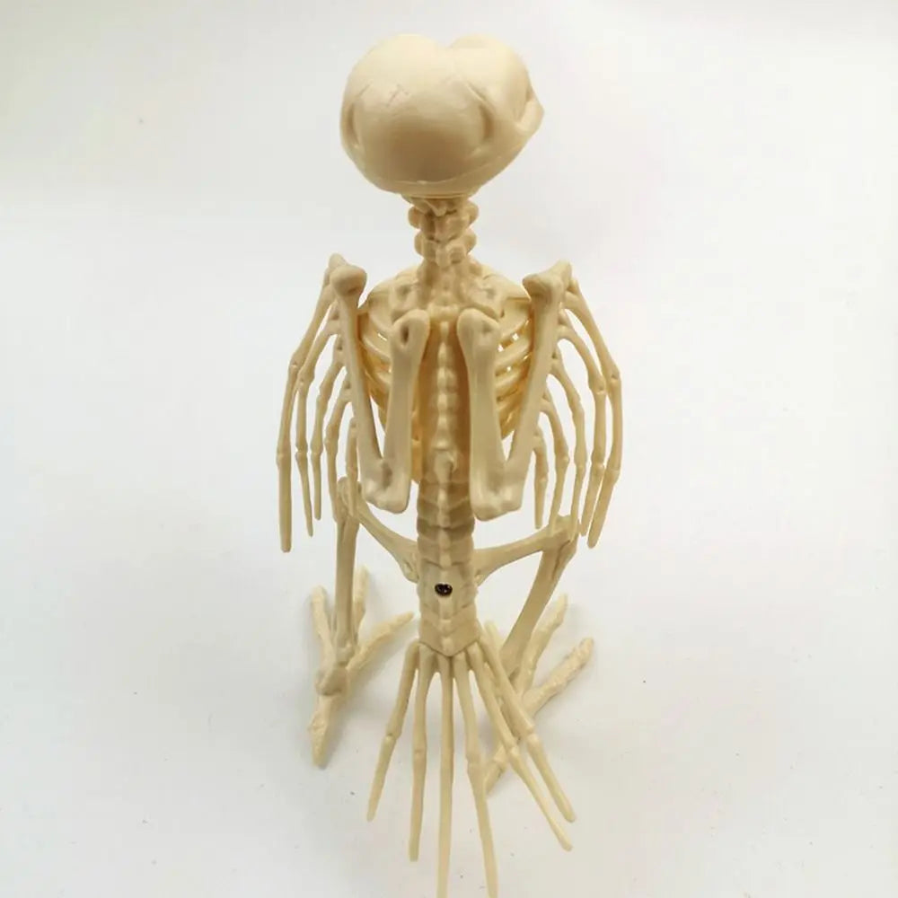 Decoration Halloween Prop Horror Halloween Decoration Crow Skeleton Animal Skeleton Bones Skeleton Raven Halloween Supplies