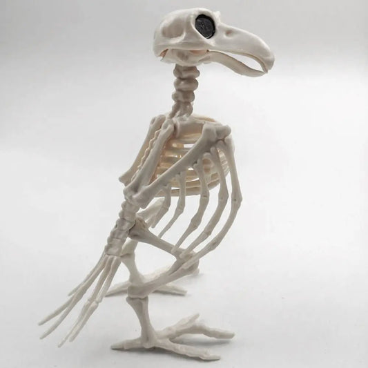 Decoration Halloween Prop Horror Halloween Decoration Crow Skeleton Animal Skeleton Bones Skeleton Raven Halloween Supplies