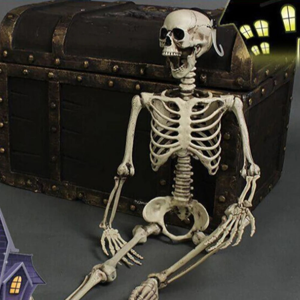 Halloween Realistic Body Bones Movable/Posable Joints Simulation Skull Ornament Festival Theme Full Size Home Party Decorations